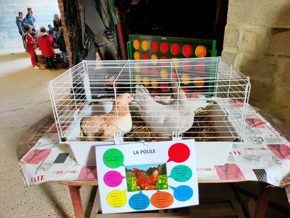 24 mai 2022 - journée à la ferme pédagogique de flesquières pour les enfants de l'école maternelle - crédit photo : Billy Journet
