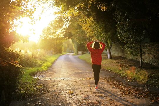 Randonnées et promenades pédestres sur Flesquières