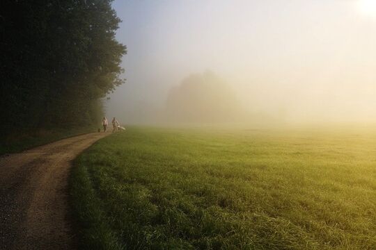 Randonnées et promenades pédestres sur Flesquières